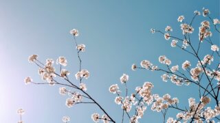 年下男性に選ばれやすくなった生活習慣5つ｜頑張らない恋愛の整え方